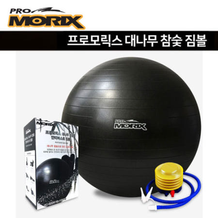 대나무 참숯 안티버스트 짐볼 65cm