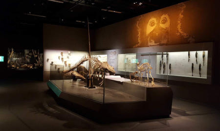 싱가포르 리콩치안 자연사 박물관 입장권