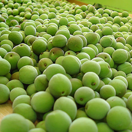 하동 청매실 5kg(대) 쪼갠매실 3kg