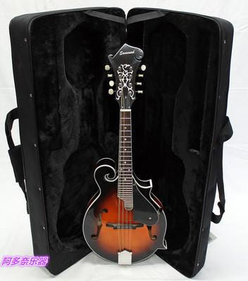 [해외]악기 교육용 전통 타악기 관악기 미국 수입악기 만돌린 SF-100 F형 욱일만돌린 기타골드 정품 송금함