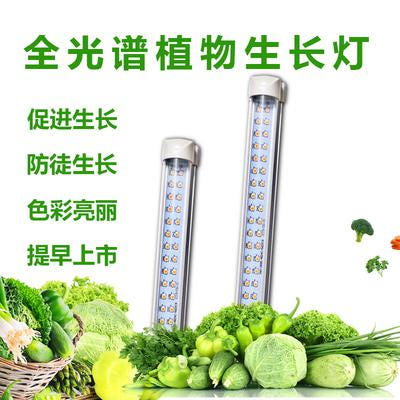 [해외]식물용 led 보온등 화광 올스펙트럼 식물 생장등 종채실 재배 수배잎 화초 다육상색 보광