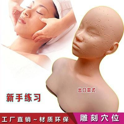 [해외]피부미용마네킹 동대문마네킹 미용헤드마사지 연습두혈자리 가인두세면 모델헤드마네킹 연습
