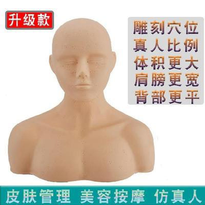 [해외]피부미용마네킹 동대문마네킹 문수미용원 안면혈 위치 안마대 어깨 실리콘헤드 피부관리학