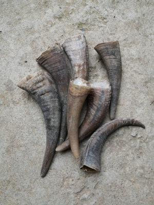 [해외]물소뿔 조각 재료 괄사 마사지 경락 지압봉 한약재희귀백수소각재료정각약용소각대신소각입약처방