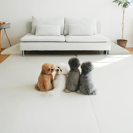 티지오매트 우다다 강아지매트 PVC 애견 고양이 복도 바닥 미끄럼방지 논슬립 롤매트