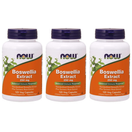 [해외]Now Foods 나우푸드 보스웰리아 boswellia extract 120정 3개