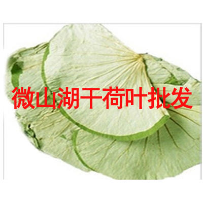 [해외]말린 연잎 자연산 연꽃잎 건조 찜용 찜기 건강차 허브 미산호 전체 마른연엽 25kg 야생 꽃닭 연잎밥 전용 무료절편차