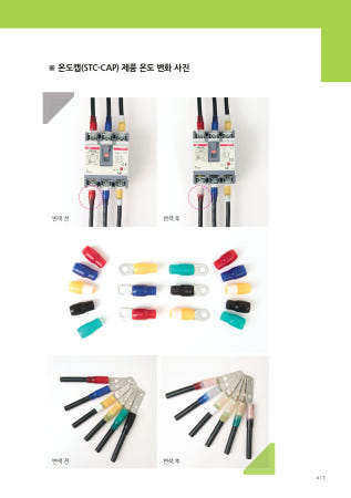 온도캡 STC-CAP(승전) STC-4SQ 적색 1PACK 100EA