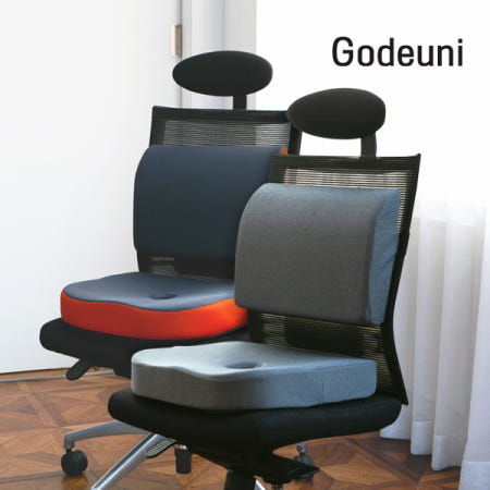 (리뷰이벤트) 고드니 자세교정 방석 등쿠션 풀세트