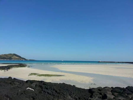 제주도 서쪽 일일 버스 투어｜점심 식사 포함 고급 실속 여행 (외국인 전용)