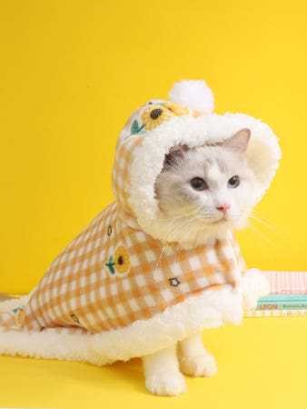 [해외]고양이 망토 담요 아기 냥이 이불 침낭 반려동물 잠옷