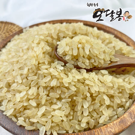 [힘찬농부]25년산 국산 찹쌀찐쌀 올벼쌀 올기쌀 3kg, 1개