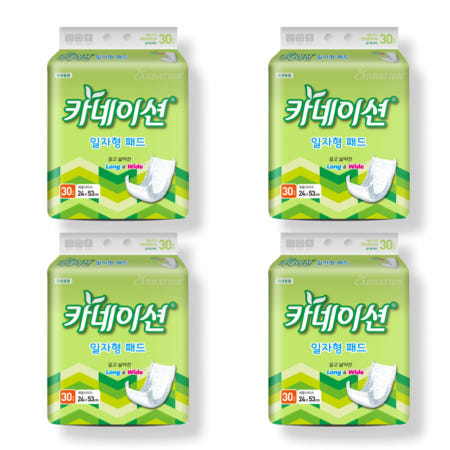 카네이션 속기저귀 일자 일반 30매 4팩 (120매) S1 성인용기저귀