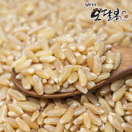 호라산밀 이집트쌀 고대곡물 터키 3kg, 1개