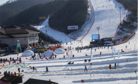한국 스키 데이 투어 | 엘리시안 강촌 스키 + 스노보드 + 스노우힐 (서울 출발)