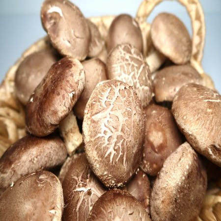 [사랑이네농장]국산 표고버섯 무농약 생표고버섯 못난이 1kg