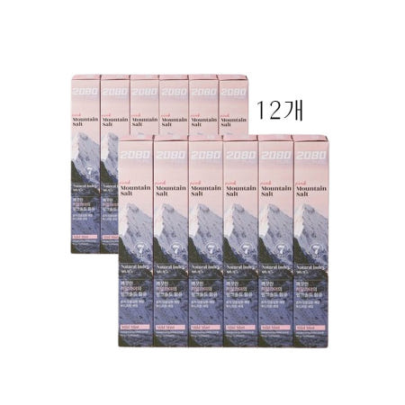 2080 퓨어 마운틴 솔트 치약 핑크120g 12개