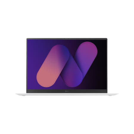Fn LG정품 그램프로 17ZD90SP-GX59K WIN11 NVMe1T추가