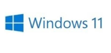 Microsoft Windows 11 Home (DSP 64bit 한글)