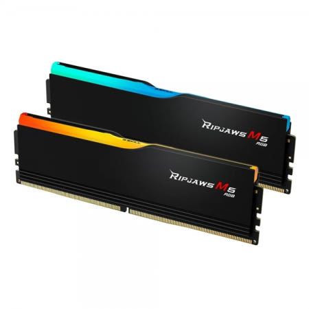 G.SKILL DDR5-5200 CL40 RIPJAWS M5 RGB 블랙 패키지 (32GB(16Gx2))
