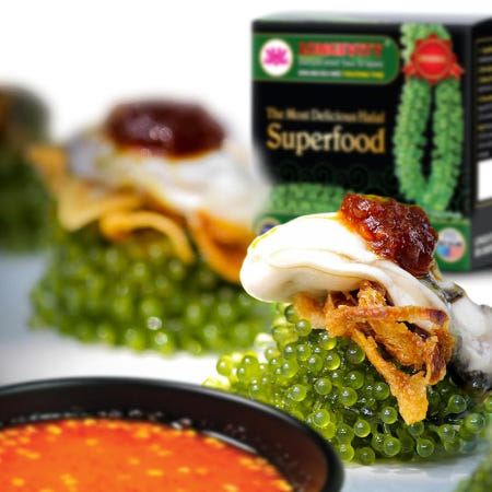 [근처맛집]미국 아마존 베스트셀러 판매 1위 우미부도 먹방 푸꾸옥 다낭 석화 베트남 나트랑 LONGEVITY 바다포도 120g x 1ea 톡톡 터지는 ASMR