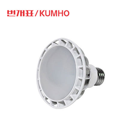번개표 LED PAR30 전구 15W E26 확산형 주광색