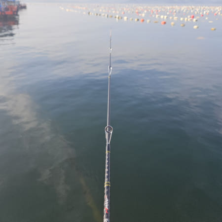 몬스터코리아 오페라 카지노 버트대 초릿대 오페라 532TML 1번대