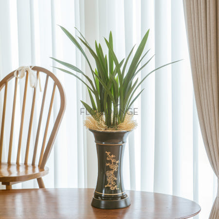 [플로라노]보세 일반분(흑) 동양난 승진 개업 취임 영전 축하 화분 전국꽃배달서비스