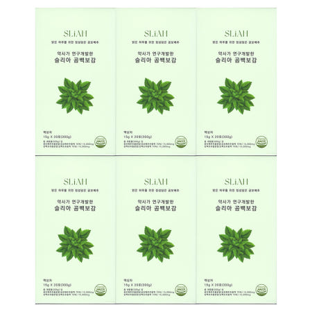 슬리아 곰백보감 곰보배추시럽 15g x 20포 6개