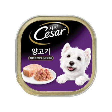 시저 캔 양고기, 100g, 12개