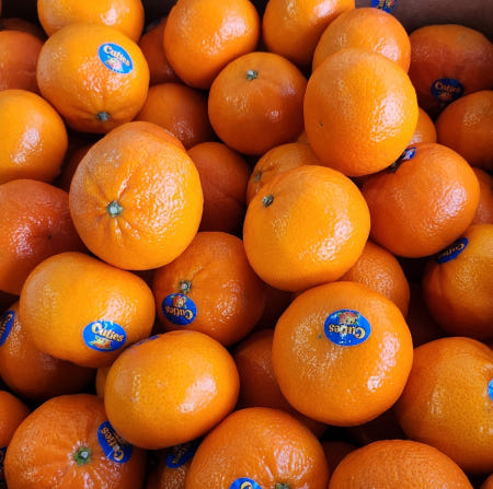 [캘리포니아만다린농장]딜라이트 프레쉬 큐티스 만다린 귤 미국산 캘리포니아산 감귤 500g 1kg-10kg