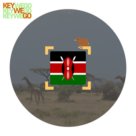 케냐 이심 탄자니아 남아공 보츠와나 아프리카 동시사용 eSIM 경유지포함 5G 무제한 1일