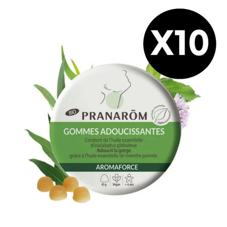[해외]PRANAROM 프라나롬 아로마포스 유칼립투스 민트구미 45g x10개 Aromaforce 오가닉 젤리캔디