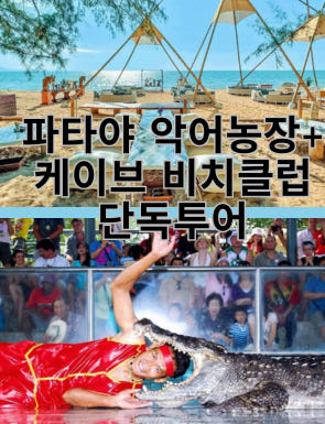 [단독투어 파타야출발 방콕출발] 파타야 악어 농장 케이브 비치 클럽 단독투어