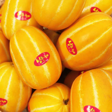 성주참외 꿀 참외 2kg 3kg 5kg 10kg 산지직송 고당도 가정용 못난이