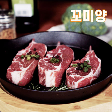 [Ovation New Zealand Ltd][꼬미양] 신라호텔 납품 숄더랙 500g+500g 6개월전후 소스3종 캠핑 돌핀 양갈비 양고기