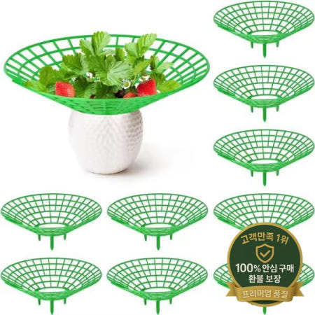 5-50pcs 딸기 식물은 3 개의 튼튼한 다리로 지원됩니다. 성장 랙 금형 부패 먼지에서 보호기 프레임 홀더 케이지