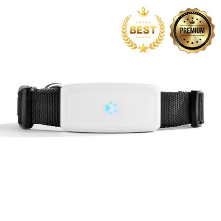 2G GSM 추적기 애완 동물 TK911 로케이터 TKSTAR 미니 무료 APP 방수 IP67와 최고의 개