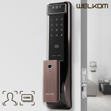[방문설치] 솔리티 WSP-2900A 얼굴인식 안면인식 푸시풀 현관문 디지털 현관도어락