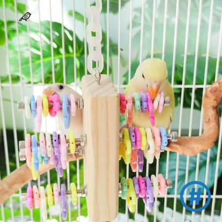 앵무새 물기 장난감 링 벨 걸이식 스윙 체인 씹는 포함