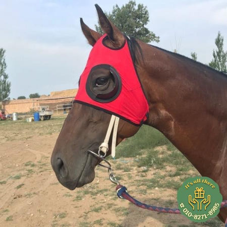 승마 장비 방풍 아이 마스크 경주마 전문 조끼 모래 커버 말 머리