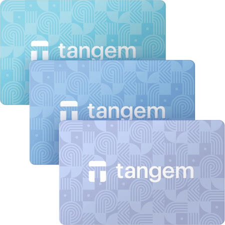[해외]탄젬 TANGEM 비트코인 암호화폐 지갑, 오프라인 하드웨어 콜드월렛 - 디자이너콜렉션