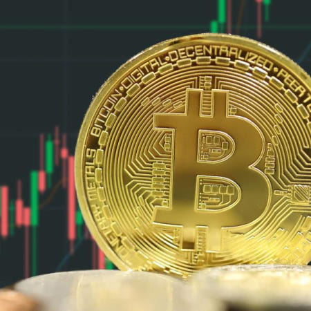 [해외]3D 금도금 BTC 수집가 동전 - NFT 인증 블록체인 유물 PoS 암호화 디스플레이 콜드 지갑 한정 아트 선물