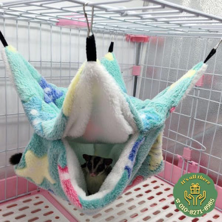 햄스터 은신처 케이지 인쇄 양털 기니피그 설탕 글라이더 잠자는 침대 설치류 해먹 쥐 작은 집 동물 용품