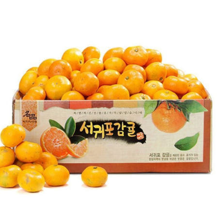 제주 나영이네농장 신선한 비가림 하우스 귤 한라봉5kg  10kg-외 무공해