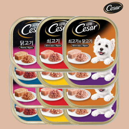 시저 캔 강아지 습식 강아지 캔 콤보, 100g, 12개