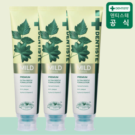 덴티스테 뉴 마일드 나이트타임 치약 160g 3개 충치케어 입냄새제거 허브향 풍성한거품