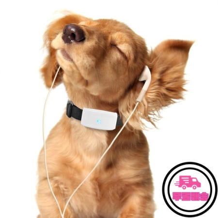 2G GSM 트래커 애완동물 TK911 위치추적기 TKSTAR 미니 최고의 강아지 무료 앱 포함 방수 IP67