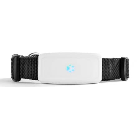 2G GSM 추적기 애완 동물 TK911 로케이터 TKSTAR 미니 무료 APP 방수 IP67와 최고의 개