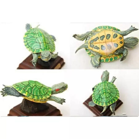 [해외]키탄 오리지널 토이즈 가챠 가샤폰 네이처 테크니 컬러 바다거북 애니메이션 액션 모델 피규어 컬렉션